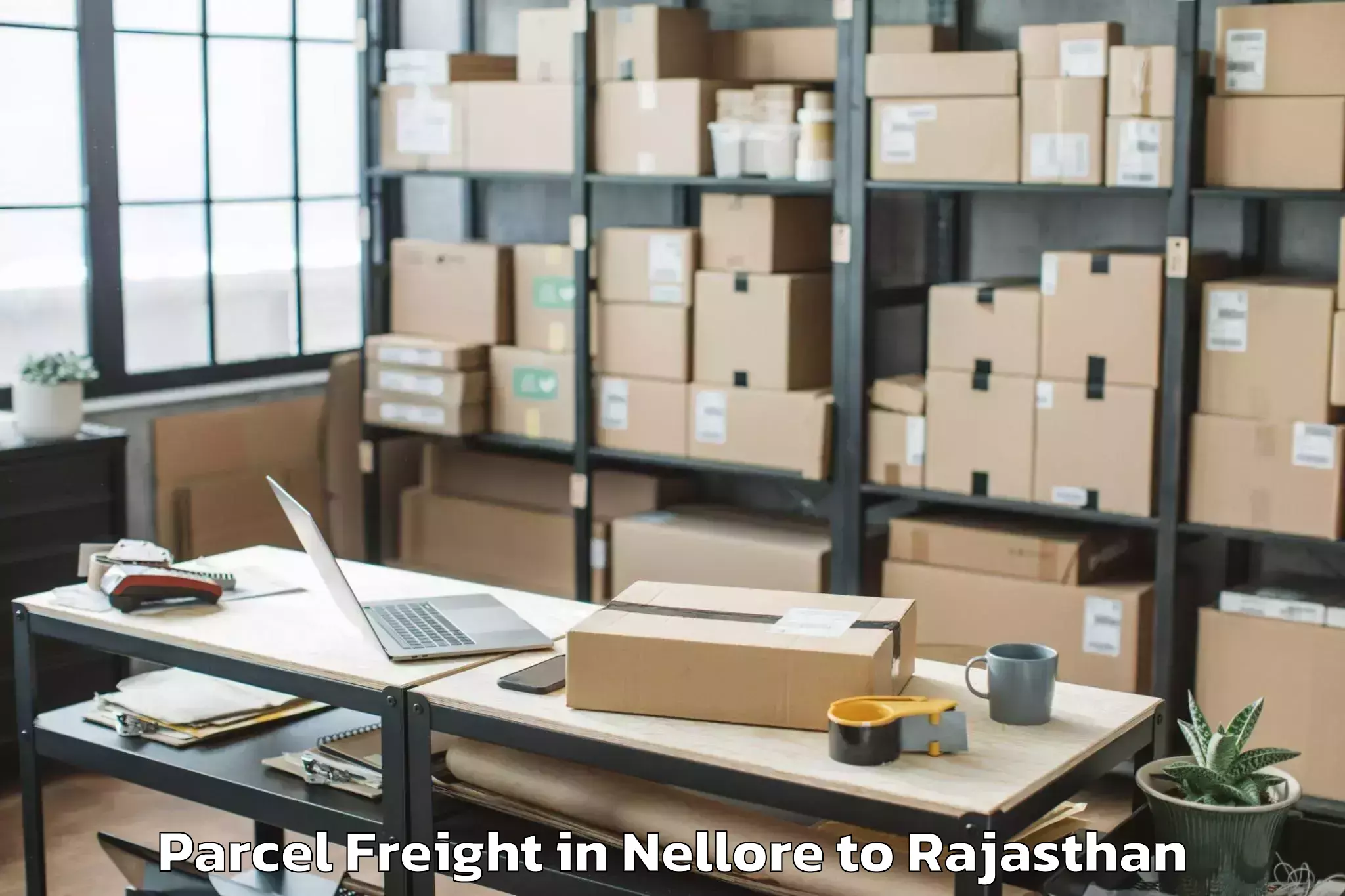 Comprehensive Nellore to Central University Of Rajastha Parcel Freight